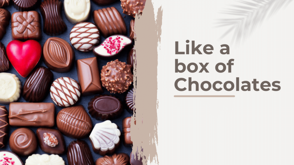 Life is like a Box of Chocolates