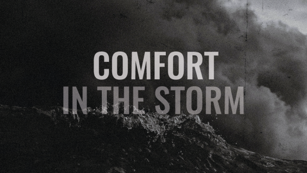 Comfort in the Storm 