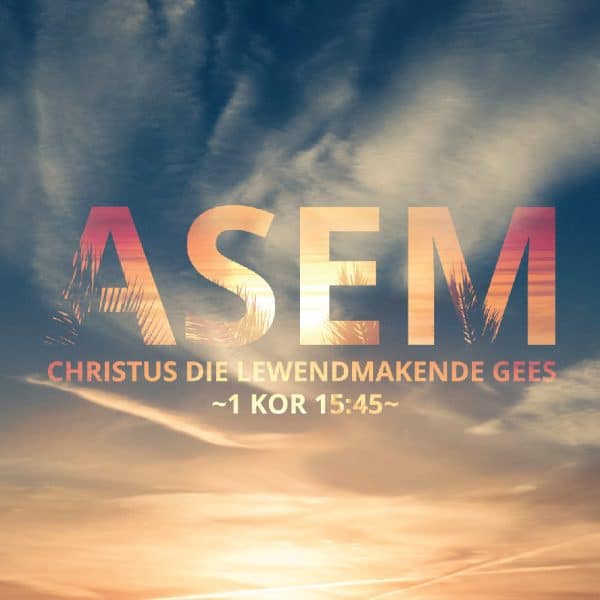ASEM Image