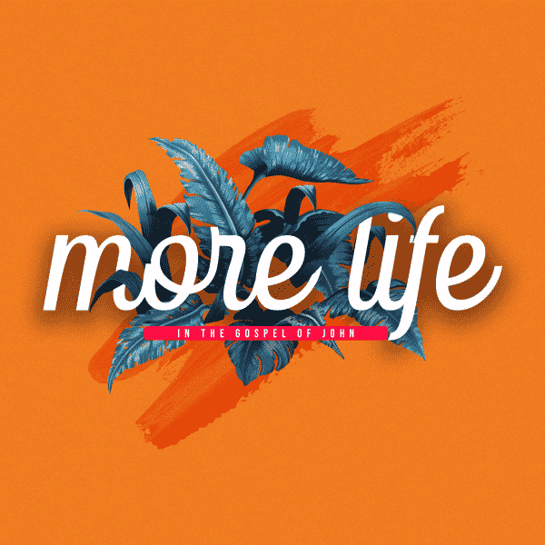 More Life // Week 8 // How Do I Handle Deep Disappoinntments In LIFE? // Bianca Steffen Image