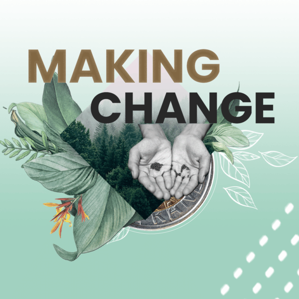 Making Change // Week 2 // Less Is More // Jo Ströhfeldt Image