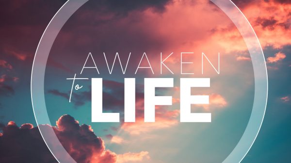 Awaken to Life - Drawn not Driven // Week 3 Image